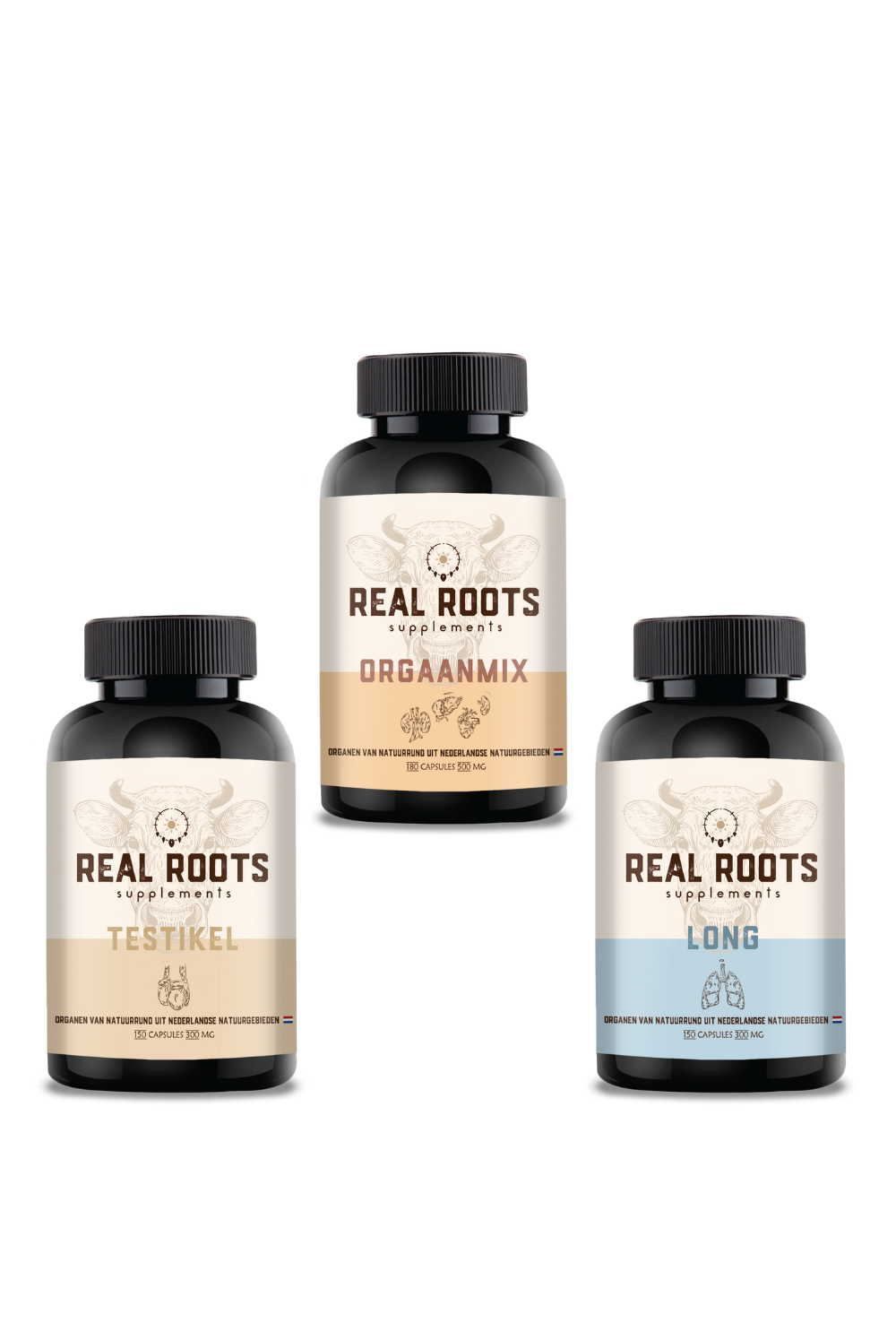realroots.nl