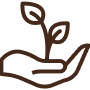 Pictogram van een hand die een plantje met twee blaadjes vasthoudt