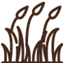 Pictogram van gras of riet met hoge sprieten