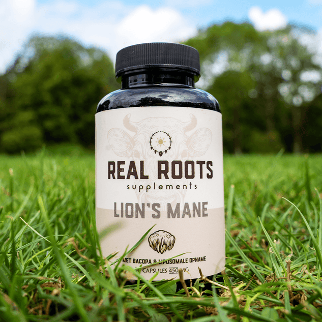 LIONS MANE CAPSULES