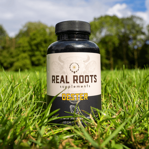 OESTER CAPSULES